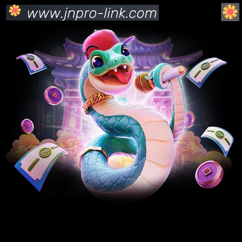 未来规划